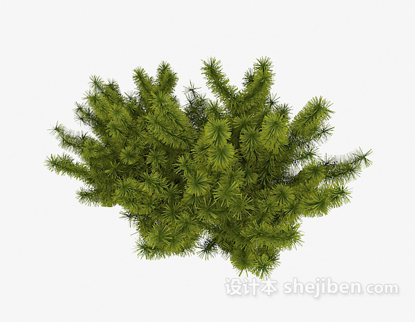 绿色丛生植物3d模型下载