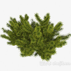 绿色丛生植物3d模型下载