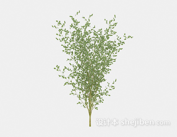 现代风格植物树苗3d模型下载