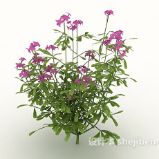 观赏性室外植物3d模型下载