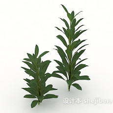 路边野生绿色植物3d模型下载