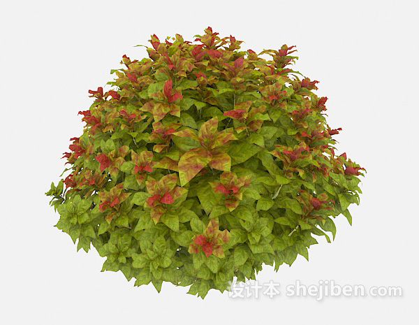 现代风格绿化花坛植物3d模型下载