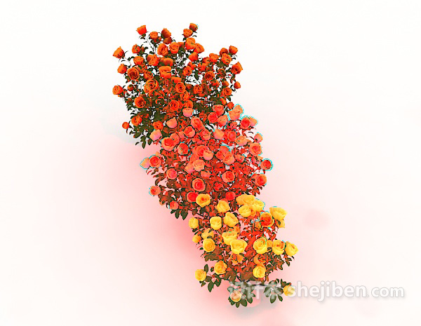 设计本玫瑰植物花丛3d模型下载