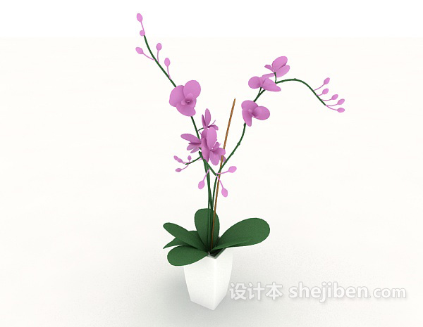 免费家居室内盆栽植物3d模型下载