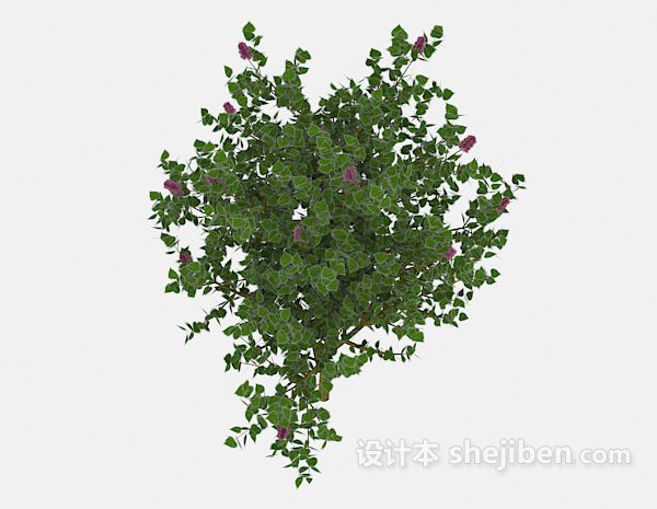 设计本室外绿色树木3d模型下载