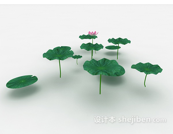 设计本池塘荷叶3d模型下载