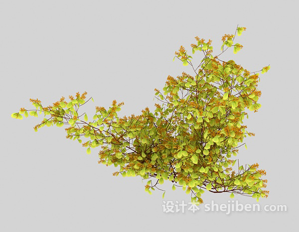 现代风格室外浅色特色植物3d模型下载