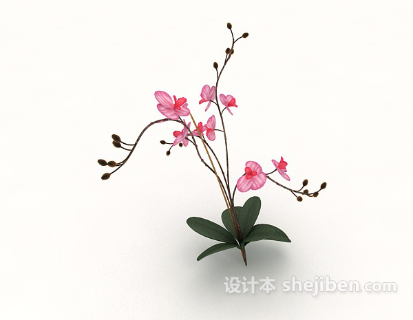 现代风格室内植物花束3d模型下载