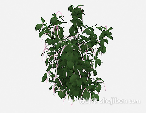 设计本特色室外植物3d模型下载
