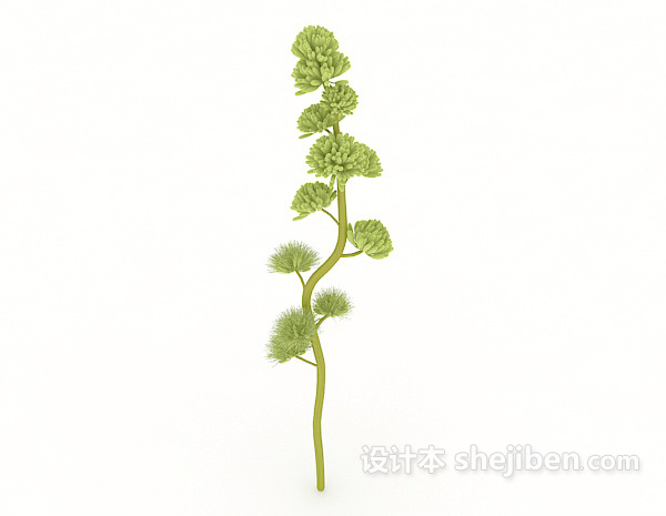奇特室外植物3d模型下载