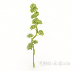 奇特室外植物3d模型下载