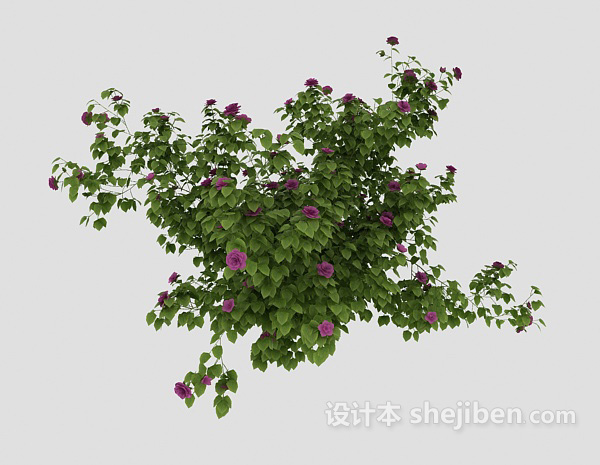 植物花丛3d模型下载