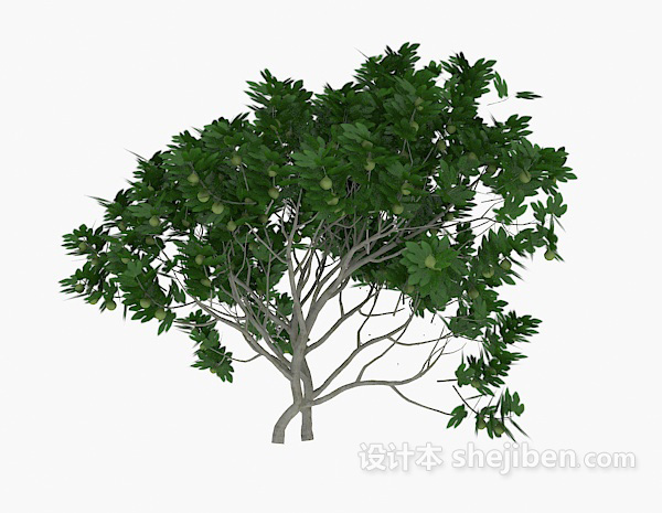 设计本绿树古木3d模型下载