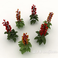 开花植物3d模型下载