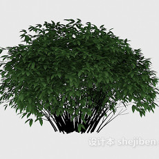 观赏性绿色植物3d模型下载