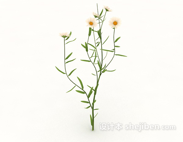 设计本室外菊花植物3d模型下载