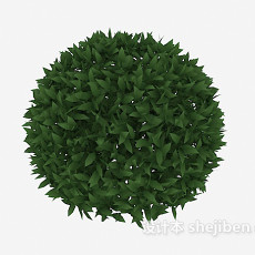 圆形绿色植物3d模型下载