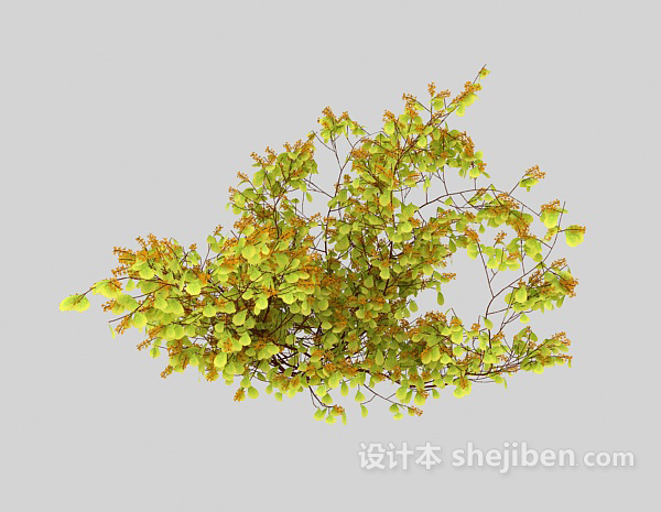 设计本室外浅色特色植物3d模型下载