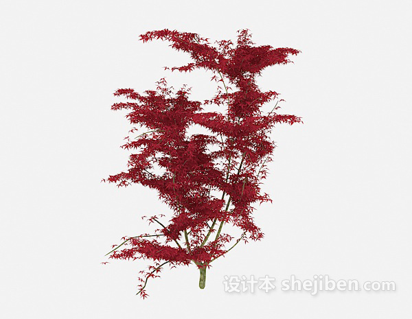 3d红叶植物树木模型 红叶植物树木3d模型下载 设计本模型下载网站