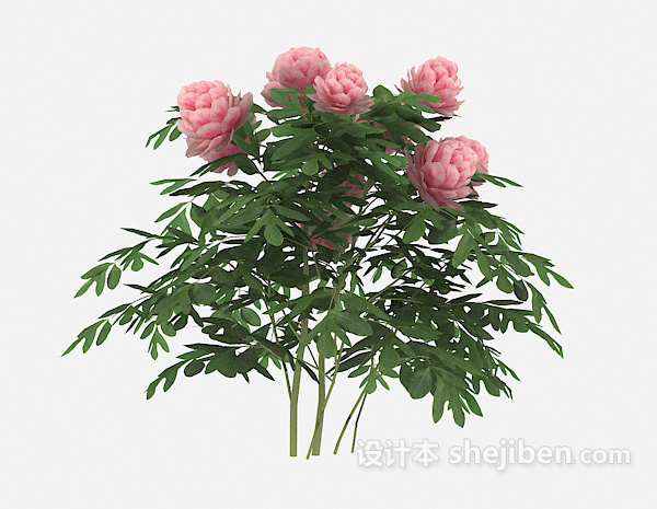 现代风格粉色花朵植物3d模型下载