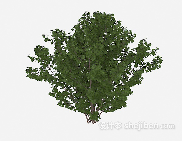 免费室外植物绿树3d模型下载