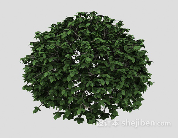 现代风格绿色室外盆栽3d模型下载