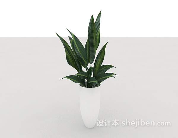 设计本室内绿色盆栽3d模型下载
