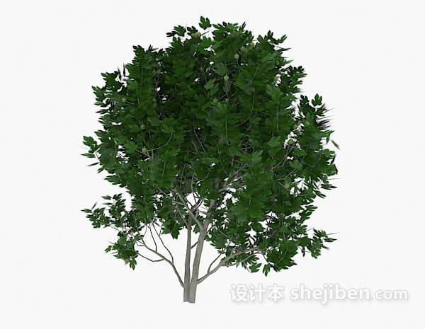 设计本室外绿树植物3d模型下载