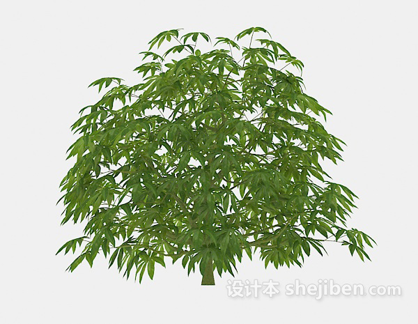 现代风格室外常年生植物绿树3d模型下载