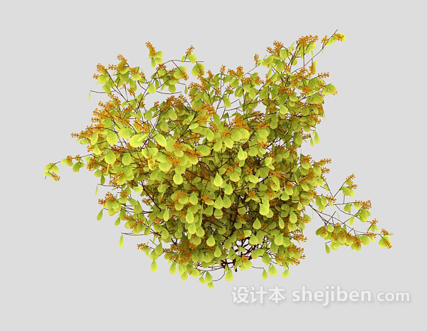 免费常见野生型植物3d模型下载