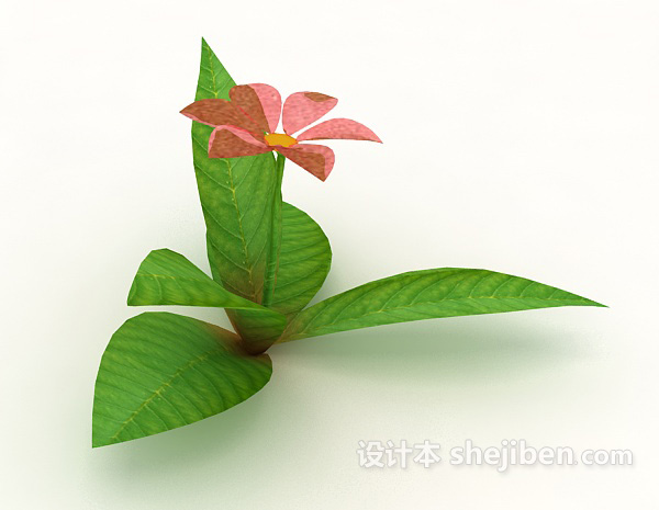 设计本室外植物花朵3d模型下载