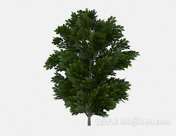 免费多枝丫绿树植物3d模型下载