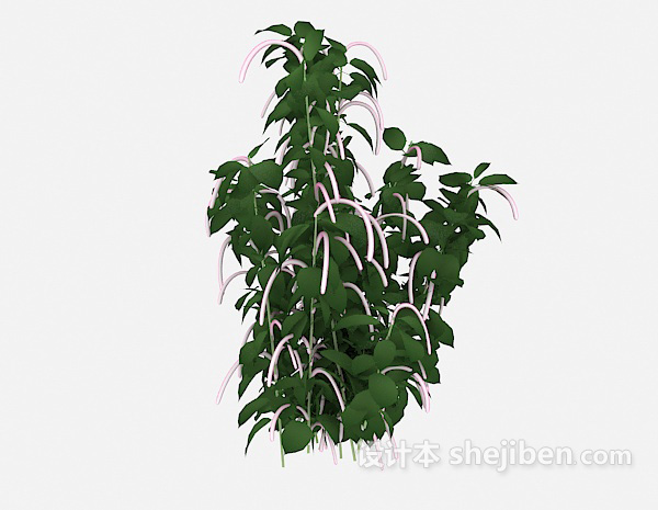 特色室外植物3d模型下载