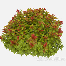 绿化花坛植物3d模型下载