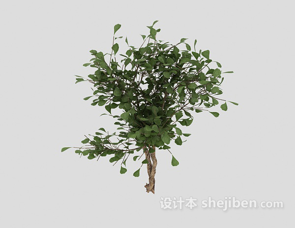 现代风格室外绿树3d模型下载