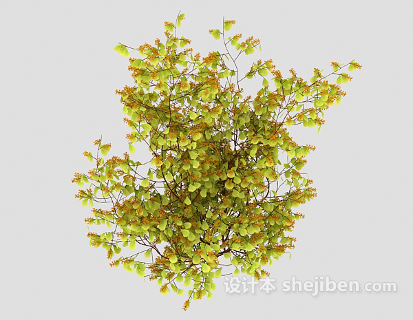 现代风格小叶植物3d模型下载