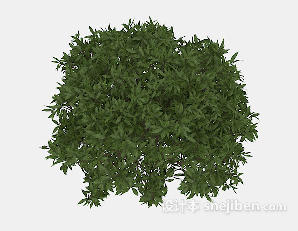 现代风格室外高大绿叶植物3d模型下载