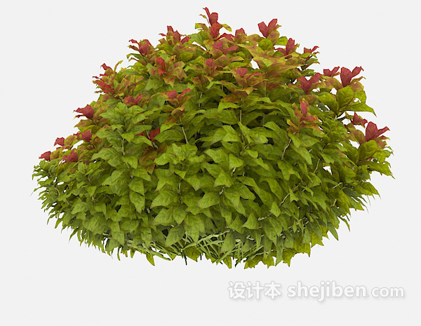 免费绿化花坛植物3d模型下载