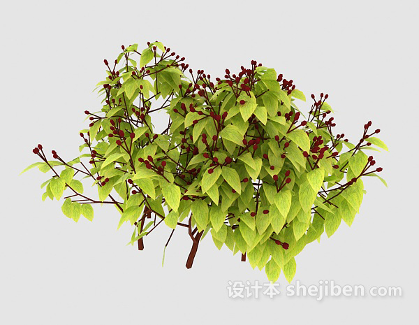 室外绿色植物树苗3d模型下载