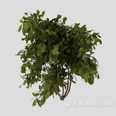 室外常见绿色植物3d模型下载