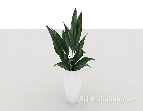 免费室内绿色盆栽3d模型下载
