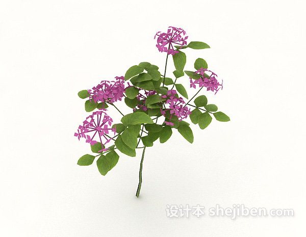 现代风格观赏性开花植物3d模型下载