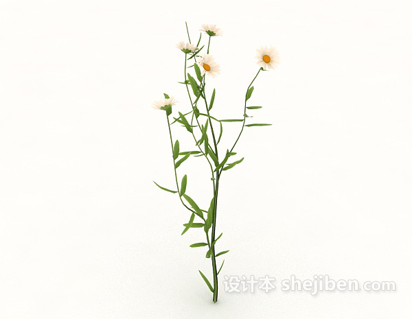 免费室外菊花植物3d模型下载