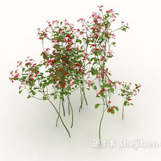 室外小花植物3d模型下载