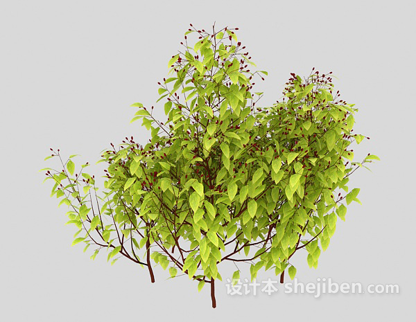设计本室外嫩绿植物3d模型下载