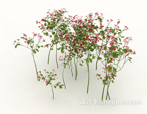 设计本室外小花植物3d模型下载