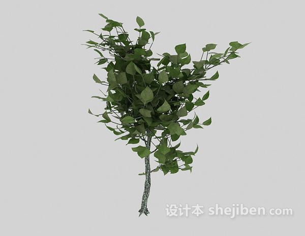 免费绿色室外植物树苗3d模型下载