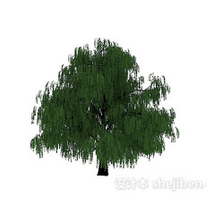 云松树3d模型下载