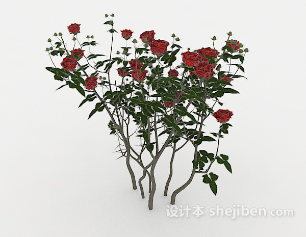 现代风格玫瑰花丛3d模型下载