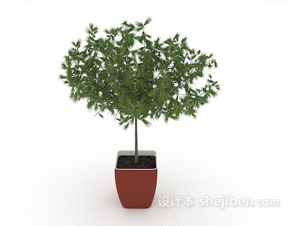 设计本居家绿色简单盆栽3d模型下载